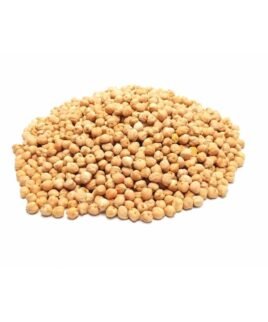 CECI PICCOLI