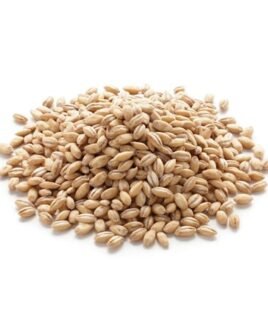 ORZO PERLATO