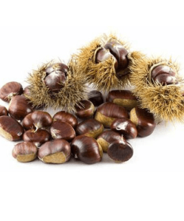 Castagne