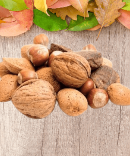 Frutta secca in guscio