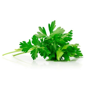 a bunch of green leaves