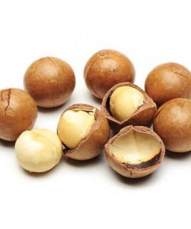 NOCI DI MACADAMIA in GUSCIO