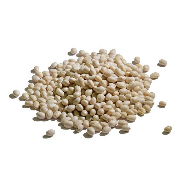 FAGIOLI TONDINI (ITALIA)